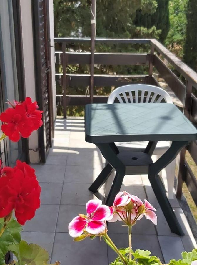 Apartmani Svitlana Sukošan Εξωτερικό φωτογραφία